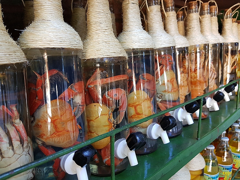 O uso da cachaça na medicina popular pode trazer benefícios à saúde