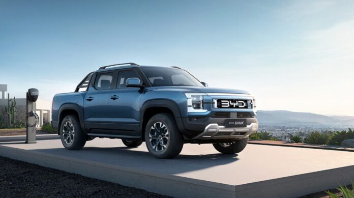 IMG-20241009-WA0034(1)