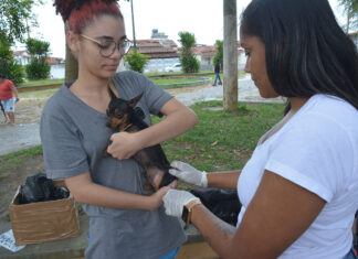 Vacinação contra a raiva em cães e gatos começa na próxima segunda-feira (11)