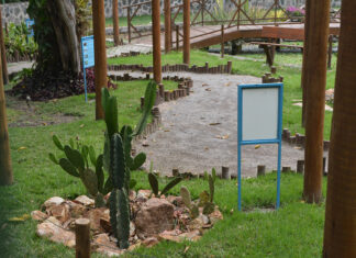 Parque da Cidade será palco de grandes atrações para o Dia das Crianças no domingo