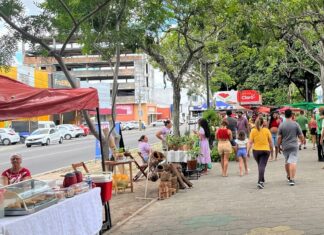 Feira na Avenida: Domingo de cultura, arte e reencontros movimenta a Getúlio Vargas